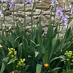 Holiday home Bois Brule : Charme Authentique A - Fr-1-306-995 Guerande